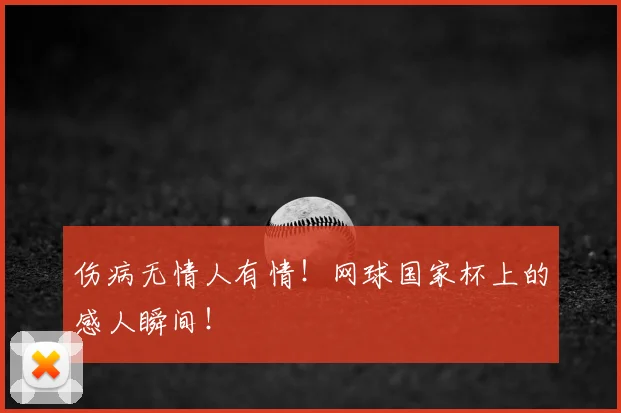 伤病无情人有情！网球国家杯上的感人瞬间！