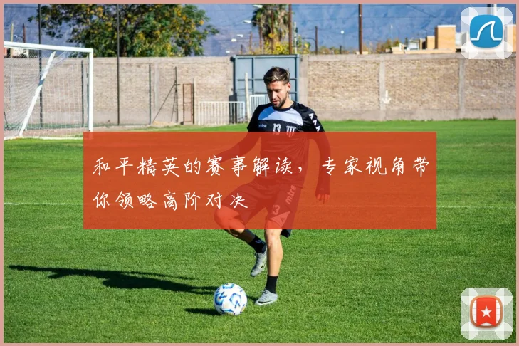 和平精英的赛事解读，专家视角带你领略高阶对决